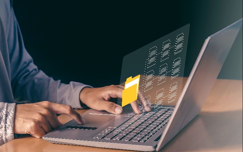 CimpactPro Corp: Veri Girişi Kapsamı