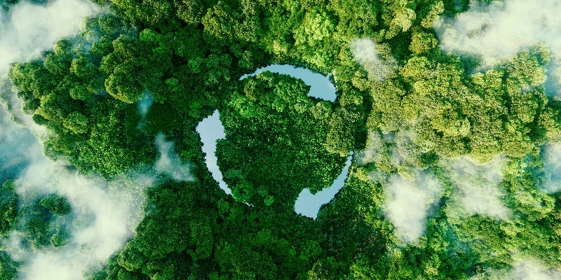 Smart Solutions to the Challenges of Carbon Reporting: How CimpactPro Simplifies the User Experience