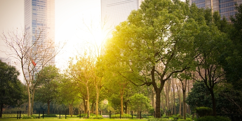 Data Mining a City: Where Does Data for Emissions Calculation Come From and How Are Gaps Managed?