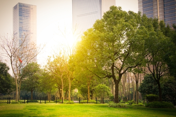 Emisyon Hesaplaması İçin Veriler Nereden Geliyor ve Eksiklikler Nasıl Yönetiliyor?