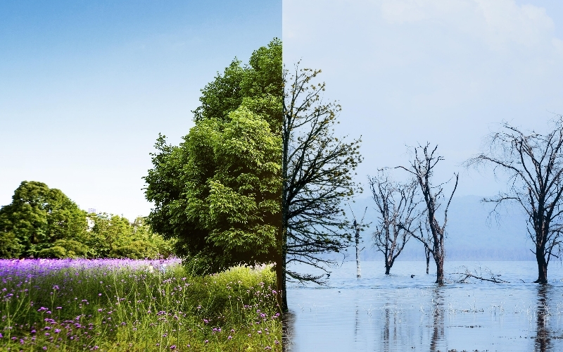 The Cornerstone of Climate Action for Cities: What is the GPC Standard and Why is it Vital?