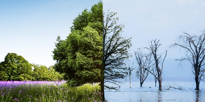 The Cornerstone of Climate Action for Cities: What is the GPC Standard and Why is it Vital?