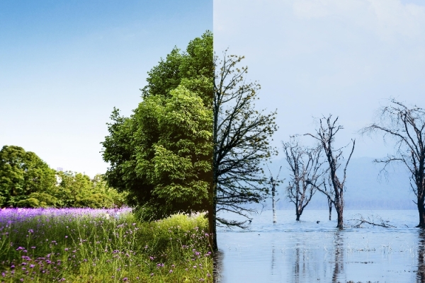  GPC Standardı Nedir ve Neden Hayatidir?
