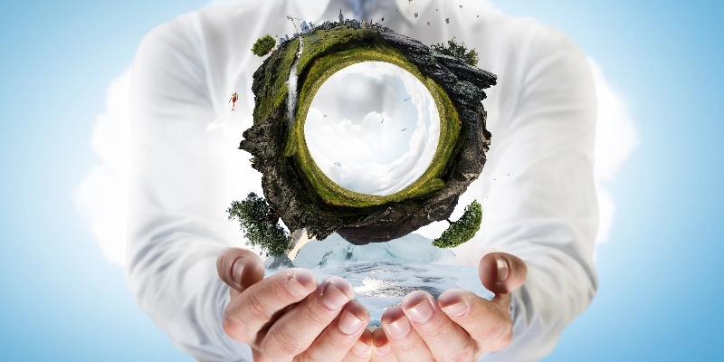 How Transparency in Carbon Management Wins Consumers