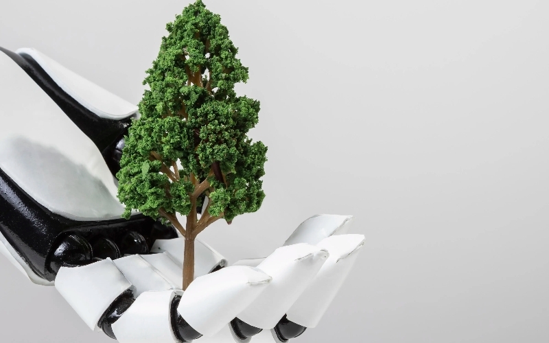 What Data is Required for Carbon Footprint Reporting?