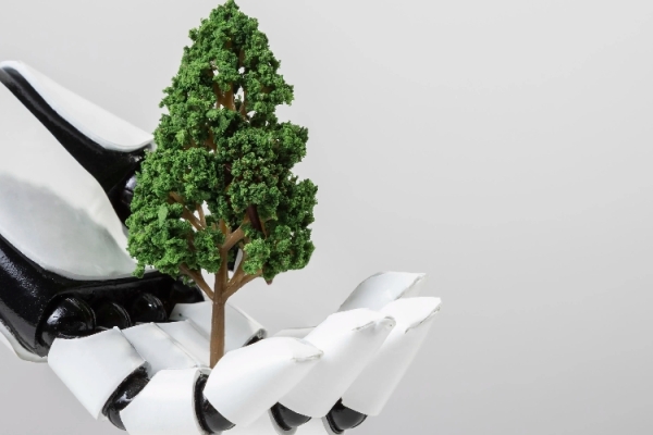 Karbon Denkleştirme Nedir?