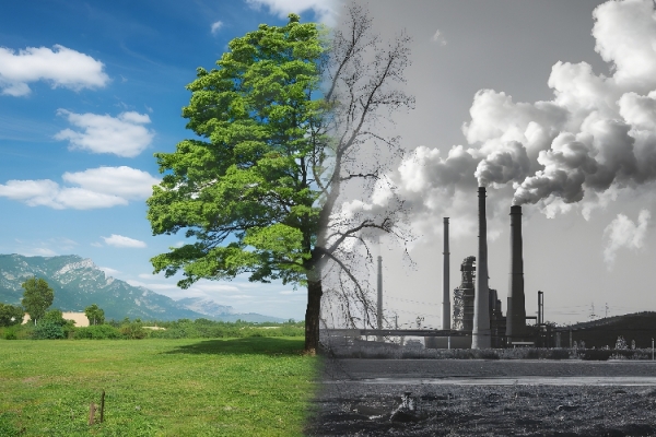 Karbon Denkleştirme Nedir? Şirketler Neden Bu Stratejiyi Kullanıyor?