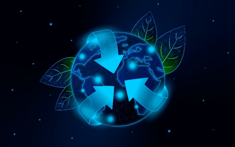 How is Carbon Performance Reflected in Company Valuation?