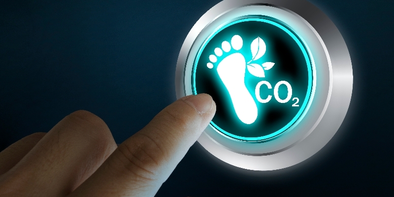 Legal and Institutional Forces Behind the Demand for Carbon Data: Why Do We 