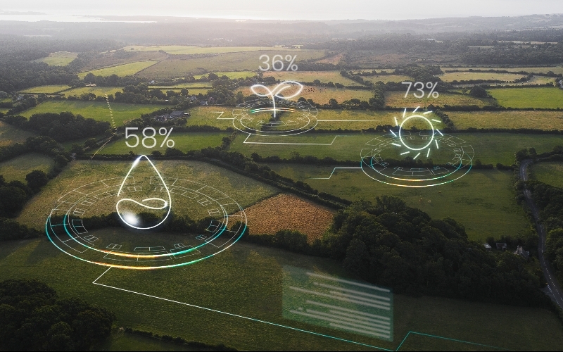 Karbon Yönetimiyle Bütçede 3 Kazanç Alanı