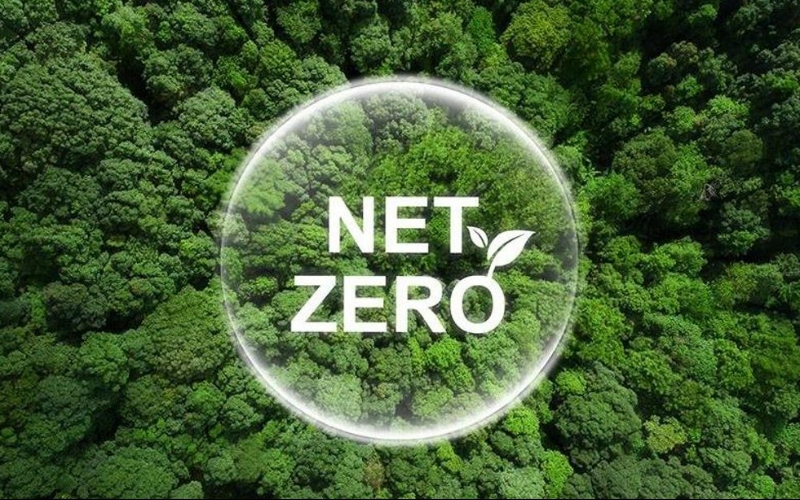 Net sıfır ve karbon nötr arasındaki fark nedir?