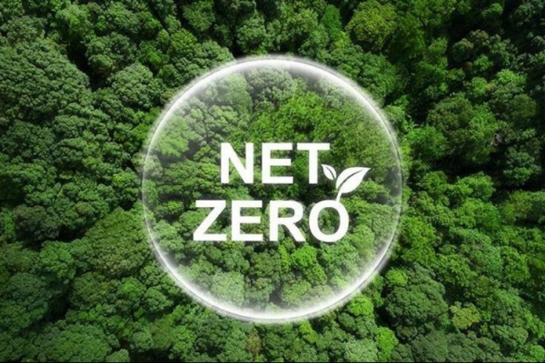 Net sıfır ve karbon nötr arasındaki fark nedir?  