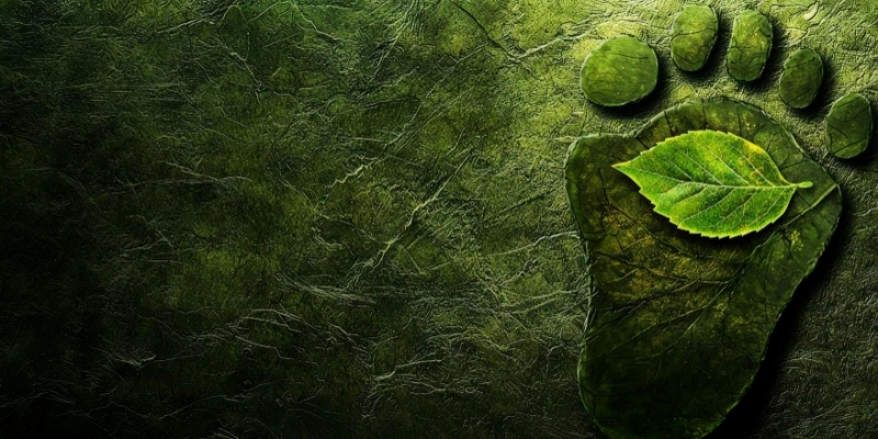 Sera Etkisine Neden Olan Gazlar Nelerdir?