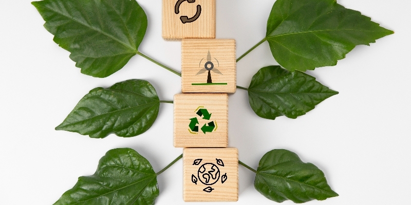 What is Sustainability?