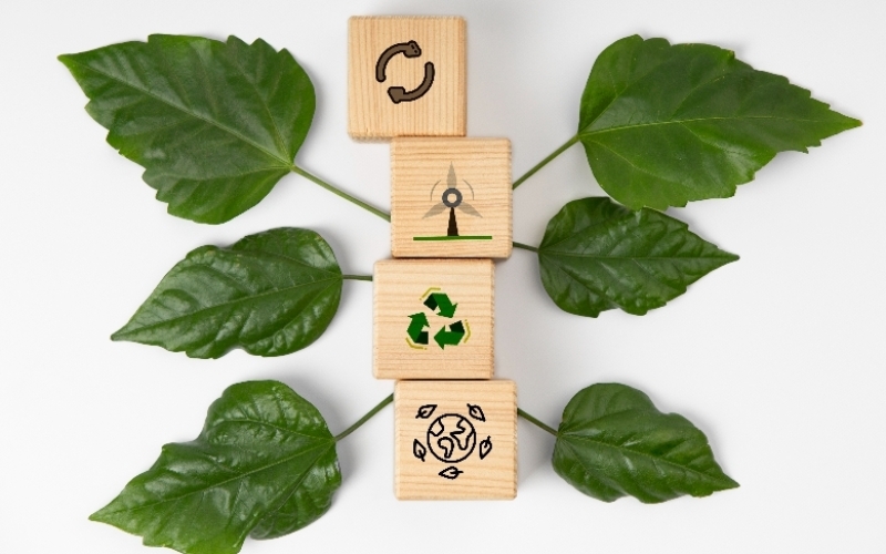 What Is Sustainability?