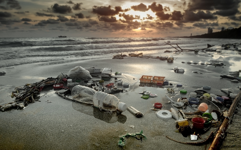 What are Hazardous Wastes and How to Declare Hazardous Waste?