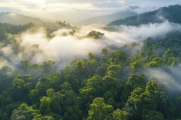Veri Girişinin Altın Kuralı: Doğru Veri Birimleri Nasıl Olmalı ve Hatalar Nasıl Önlenir?