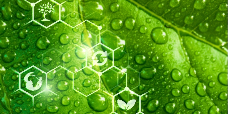 What is Green Hydrogen? How Is It Produced and How Will It Shape the Energy Future?